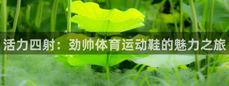 活力四射：劲帅体育运动鞋的魅力之旅