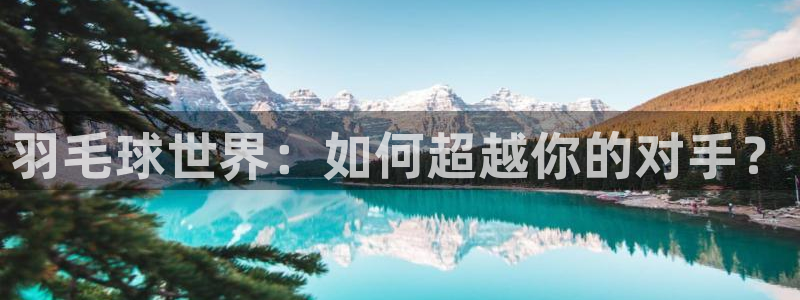 羽毛球世界：如何超越你的对手？