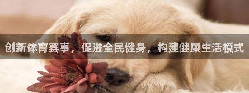 创新体育赛事，促进全民健身，构建健康生活模式