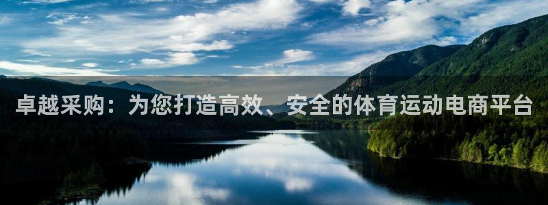卓越采购：为您打造高效、安全的体育运动电商平台