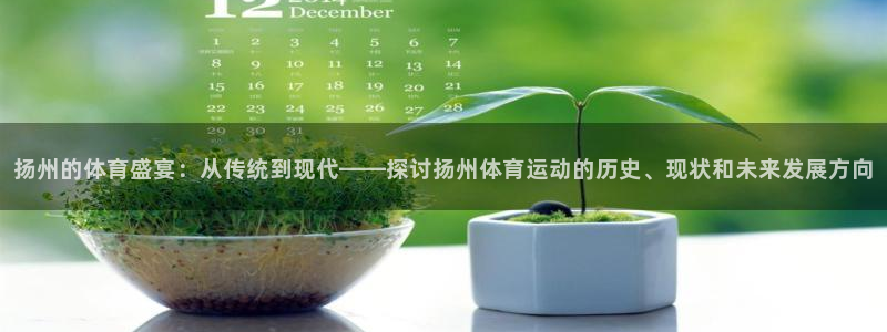 扬州的体育盛宴：从传统到现代——探讨扬州体育运动的历史、现状和未来发展方向
